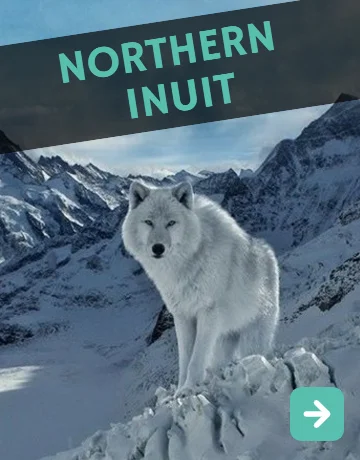 Northern Inuit Perro Lobo